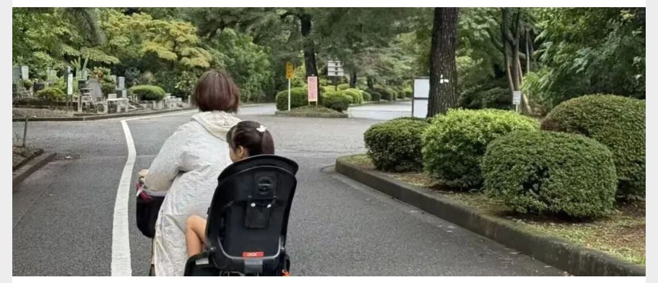 在日本墓园，看到“节地生态葬”的未来图景